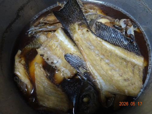 DSC03619.JPG
