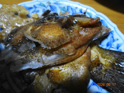 DSC03621.JPG