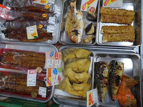 DSC03654.JPG