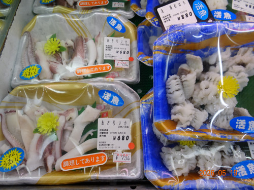 DSC03672.JPG