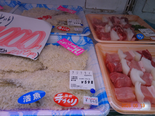 DSC03676.JPG