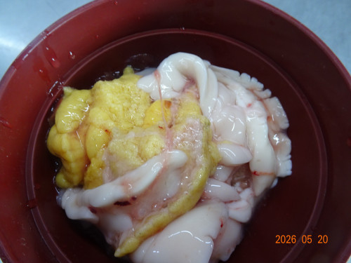 DSC03703.JPG