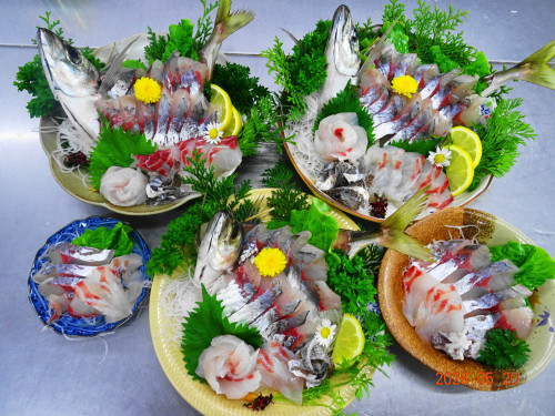 DSC03712.JPG