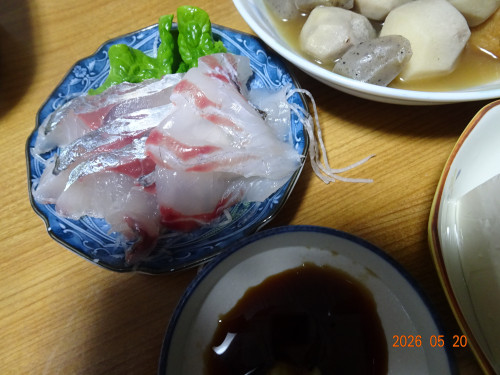 DSC03716.JPG