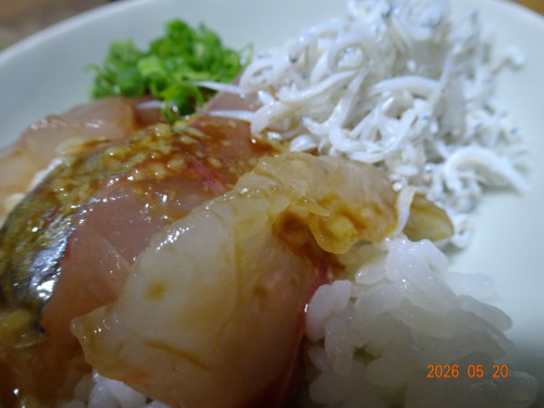DSC03717.JPG