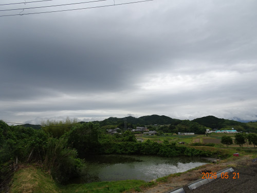 DSC03720.JPG