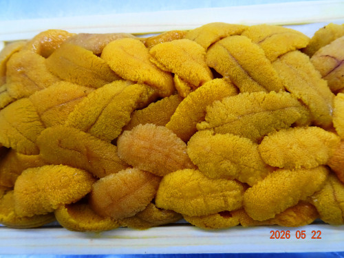DSC03731.JPG