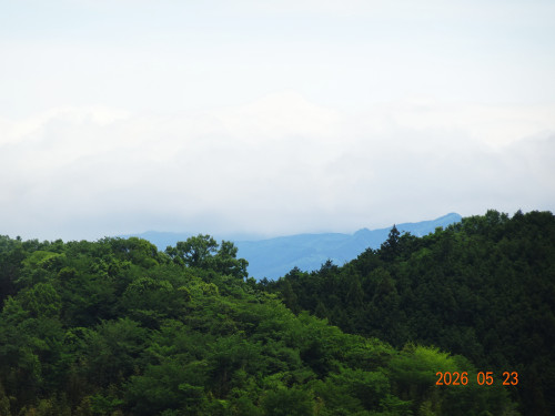 DSC03782.JPG
