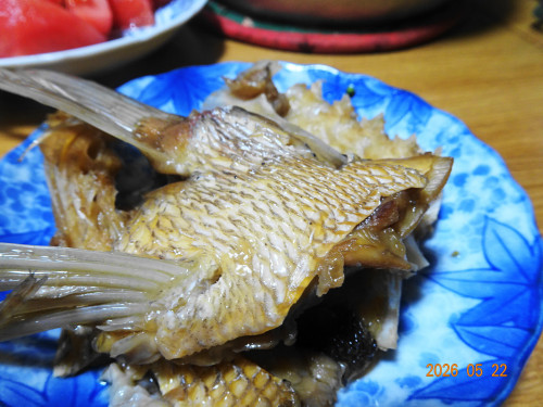 DSC03769.JPG