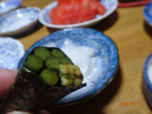 DSC03766.JPG