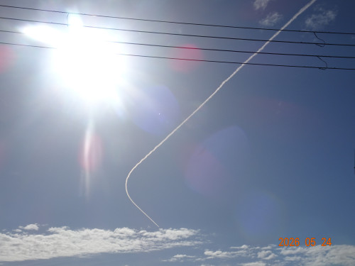 DSC03804.JPG
