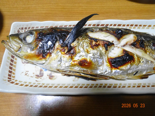 DSC03799.JPG