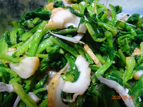 DSC03800.JPG