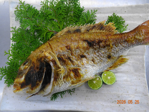 DSC03825.JPG