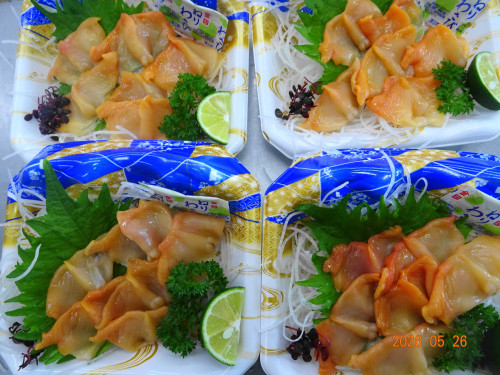 DSC03853.JPG