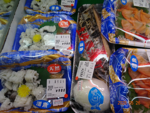 DSC03866.JPG