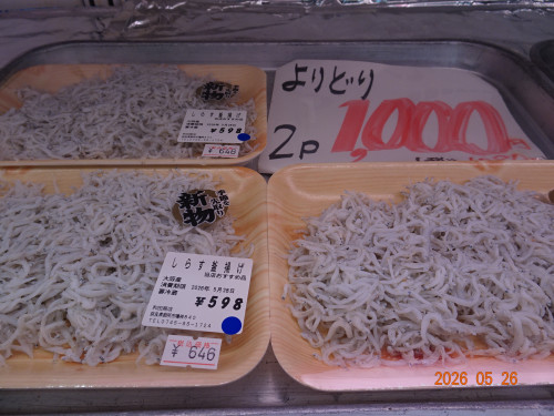 DSC03870.JPG