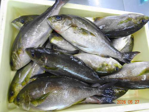 DSC03885.JPG