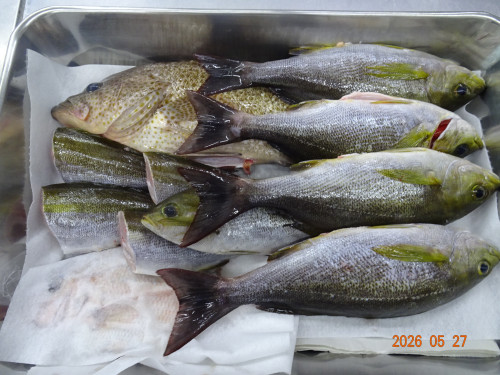 DSC03895.JPG
