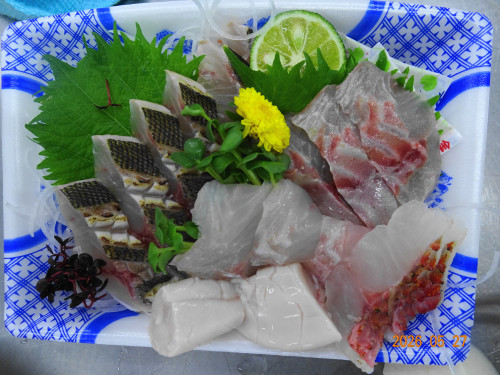 DSC03899.JPG