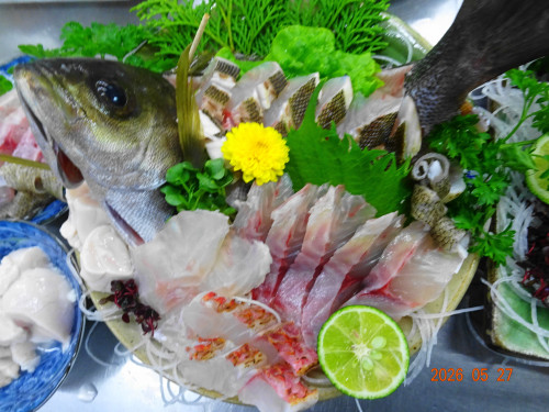 DSC03903.JPG