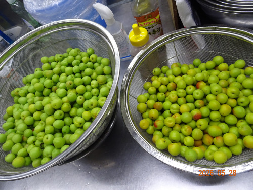 DSC03920.JPG