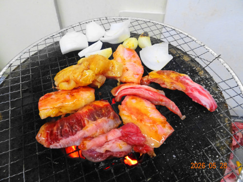 DSC03923.JPG
