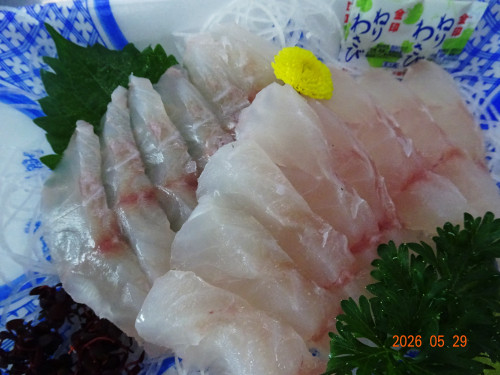 DSC03956.JPG
