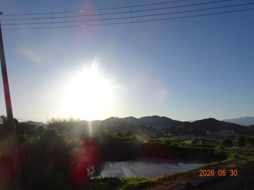 DSC03968.JPG