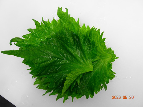 DSC03969.JPG
