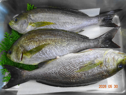 DSC03980.JPG
