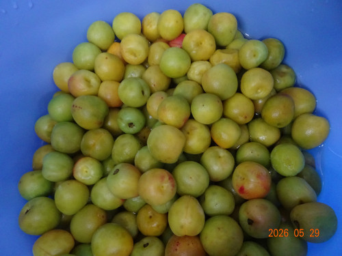DSC03959.JPG