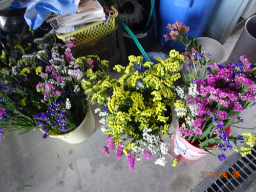 DSC03961.JPG