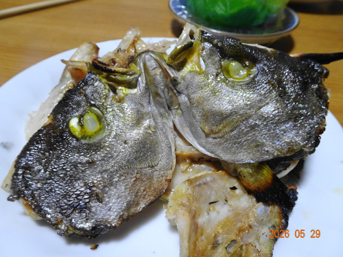 DSC03963.JPG