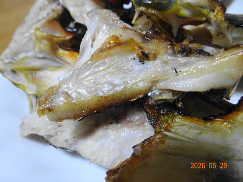 DSC03964.JPG