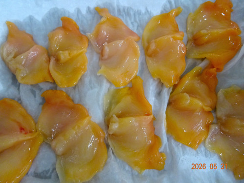 DSC04005.JPG