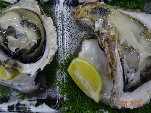DSC04079.JPG