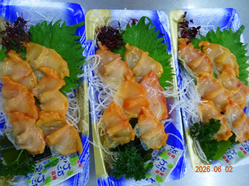 DSC04087.JPG