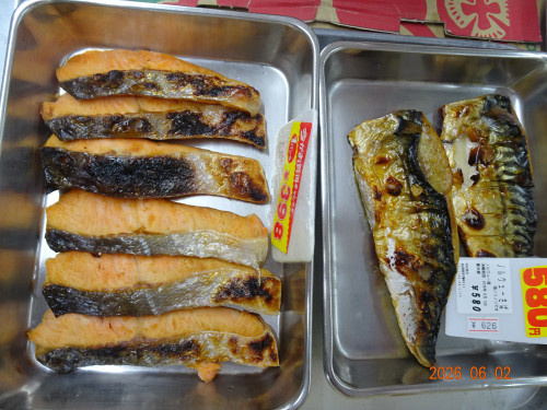 DSC04093.JPG