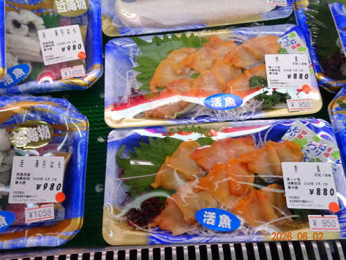 DSC04098.JPG