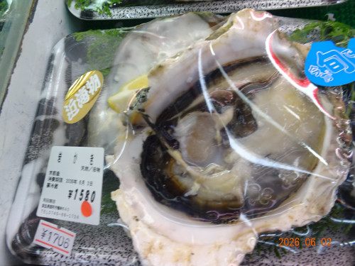 DSC04099.JPG