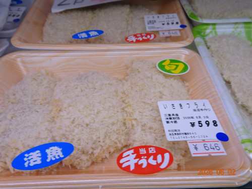 DSC04100.JPG