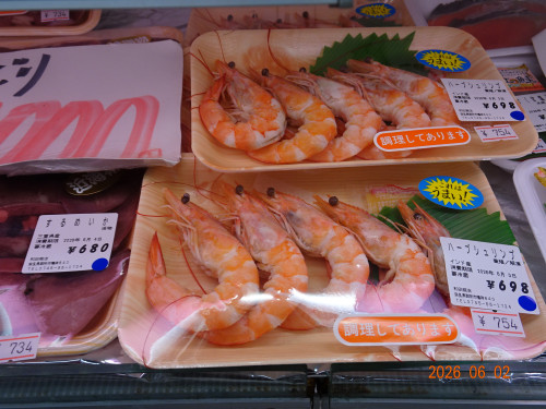 DSC04102.JPG