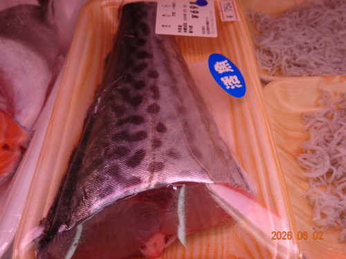 DSC04104.JPG