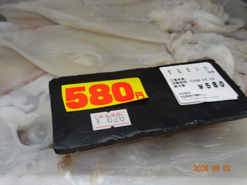 DSC04105.JPG