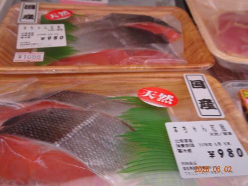 DSC04106.JPG
