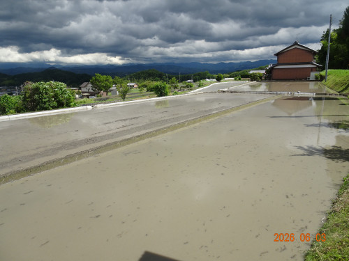 DSC04133.JPG