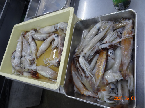 DSC04062.JPG