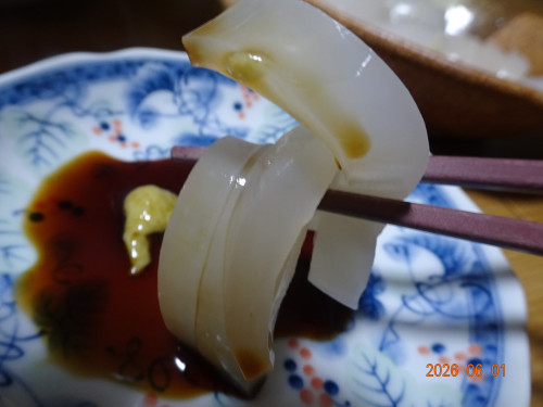 DSC04077.JPG