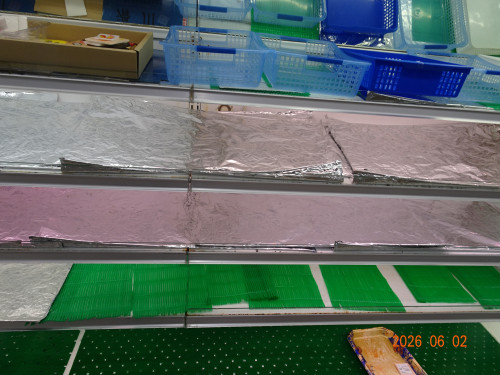 DSC04124.JPG